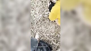 越南小美女和渣男的性愛直播全記錄 極品小美女溫柔侍奉-04