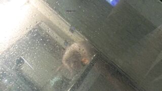 情侶洩密合集 - 24