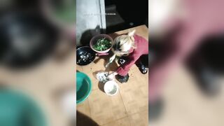 越南小美女和渣男的性愛直播全記錄 極品小美女溫柔侍奉-06