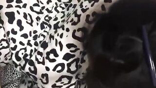 反差高顏值美女性愛洩密-09